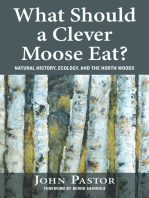 What Should a Clever Moose Eat?: Natural History, Ecology, and the North Woods