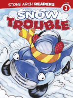 Snow Trouble