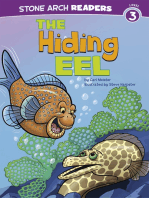 The Hiding Eel