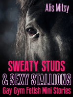 Sweaty Studs & Sexy Stallions
