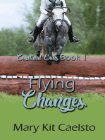 Flying Changes