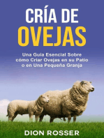 Cría de ovejas