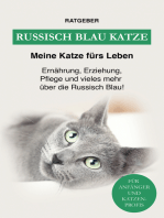 Russisch Blau Katze: Ernährung, Erziehung, Pflege, Charakter und vieles mehr über die Russisch Blau!