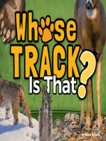 Whose Track Is That?