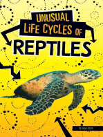 Unusual Life Cycles of Reptiles