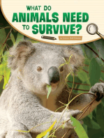 What Do Animals Need to Survive?