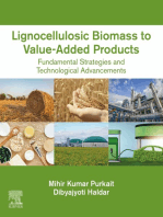 Lignocellulosic Biomass to Value-Added Products: Fundamental Strategies and Technological Advancements
