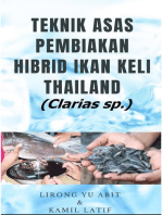 Teknik Asas Pembiakan Hibrid Ikan Keli Thailand (Clarias sp.)
