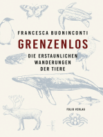 Grenzenlos: Die erstaunlichen Wanderungen der Tiere