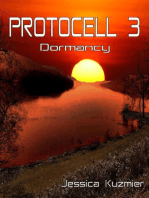 Protocell 3