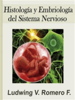 Histologia y Embriologia del Sistema Nervioso