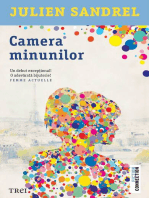 Camera minunilor