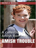 Amish Trouble A Collection of Amish Romance