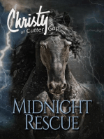 Midnight Rescue: Christy of Cutter Gap, #4