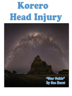 Korero Head Injury "Star Guide"