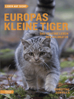 Europas kleine Tiger: Das geheime Leben der Wildkatze
