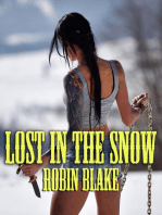 Lost In The Snow