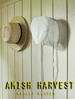 Amish Harvest