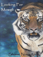 Looking for Mowgli