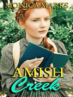 Amish Creek