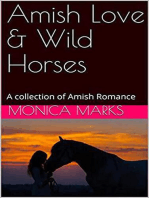 Amish Love & Wild Horses