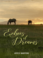 Echos of Dreams