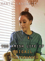 The Amish Life of Abigail Stratsburg