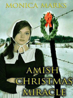 Amish Christmas Miracle