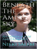 Beneath the Amish Sky