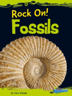 Fossils