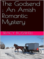 The Godsend : An Amish Romantic Mystery