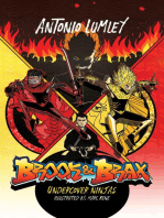 Brook and Brax: Undercover Ninjas