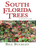 South Florida Trees: A Field Guide