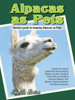 Alpacas as Pets: Owners guide to keeping Alpacas as Pets