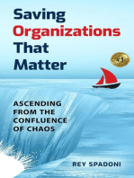Saving Organizations That Matter: Ascending From the Confluence of Chaos