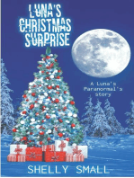 Luna's Christmas Surprise