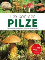 Lexikon der Pilze: Bestimmung, Verwendung, typische Doppelgänger