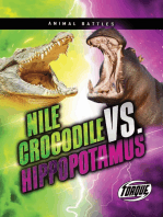 Nile Crocodile vs. Hippopotamus