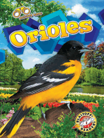 Orioles
