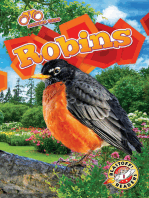 Robins