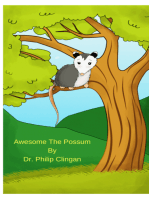Awesome The Possum