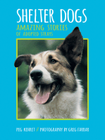 Shelter Dogs: Amazing Stories of Adopted Strays