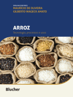 Arroz: Tecnologia, processos e usos