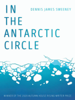 In the Antarctic Circle