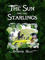 The Sun and the Starlings