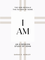 I Am: An 8-session Bible Study of John