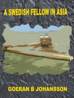 A Swedish Fellow in Asia