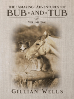 The Adventures of Bub & Tub Volume Two