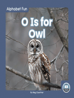 O Is for Owl