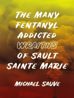 The Many Fentanyl Addicted Wraiths of Sault Sainte Marie